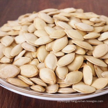 Hot sale common pumpkin seeds in shell